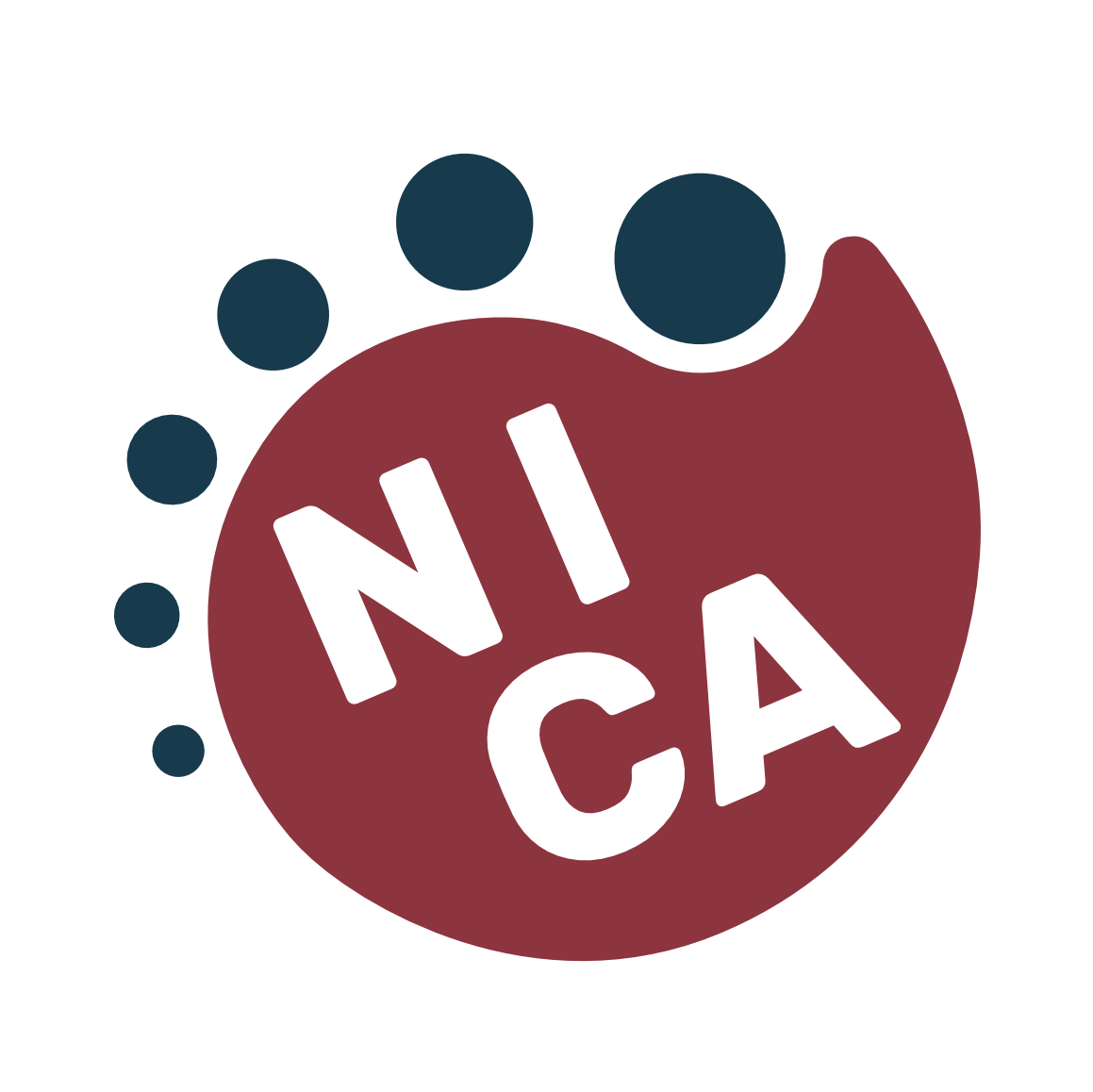 Network For Inclusive Circus Arts